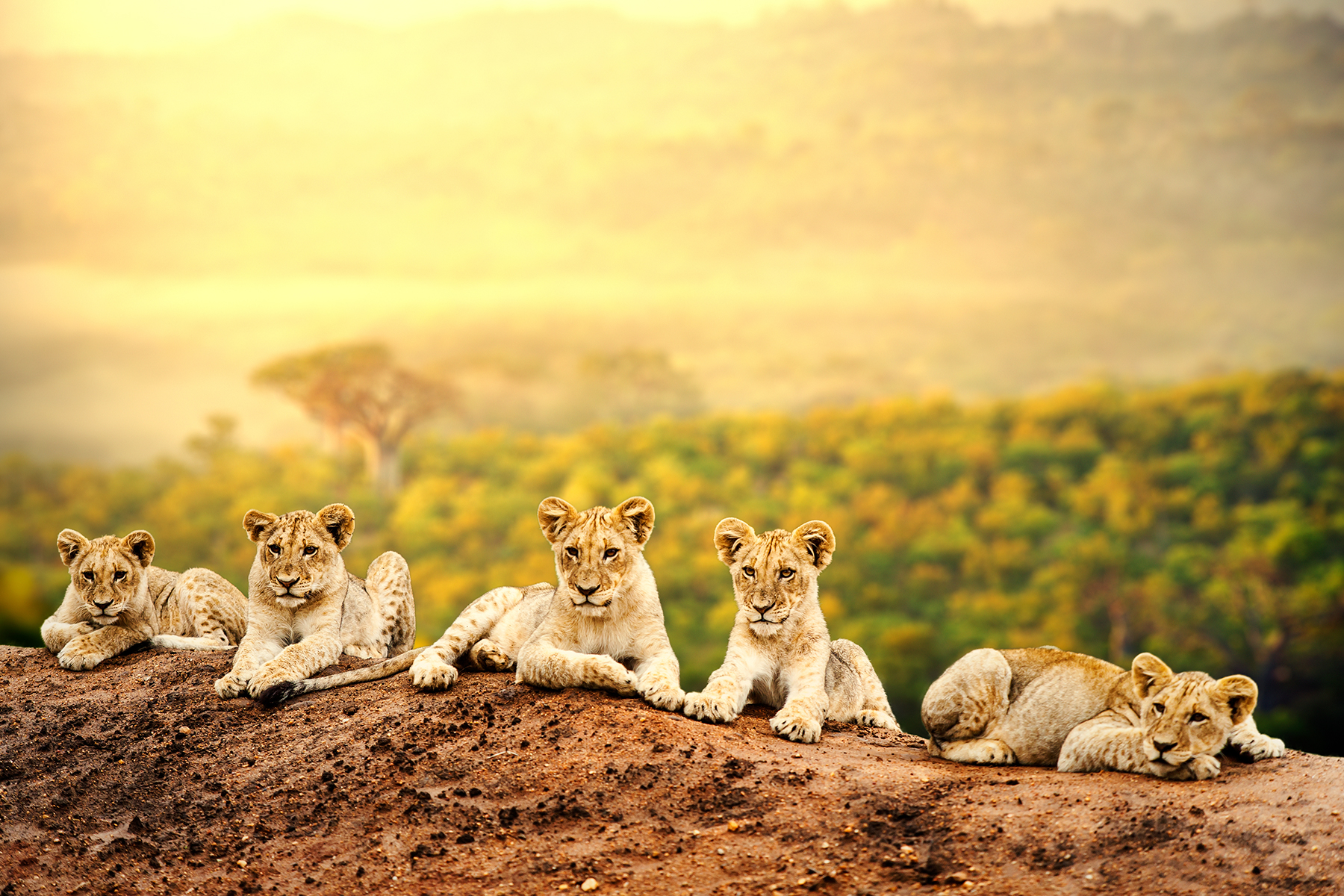 shutterstock_179675966